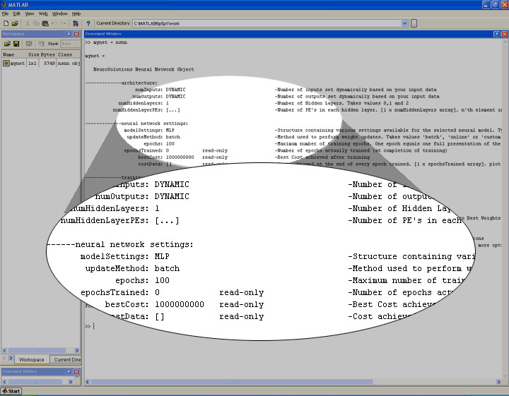 NeuroSolutions for MATLAB Screenshot